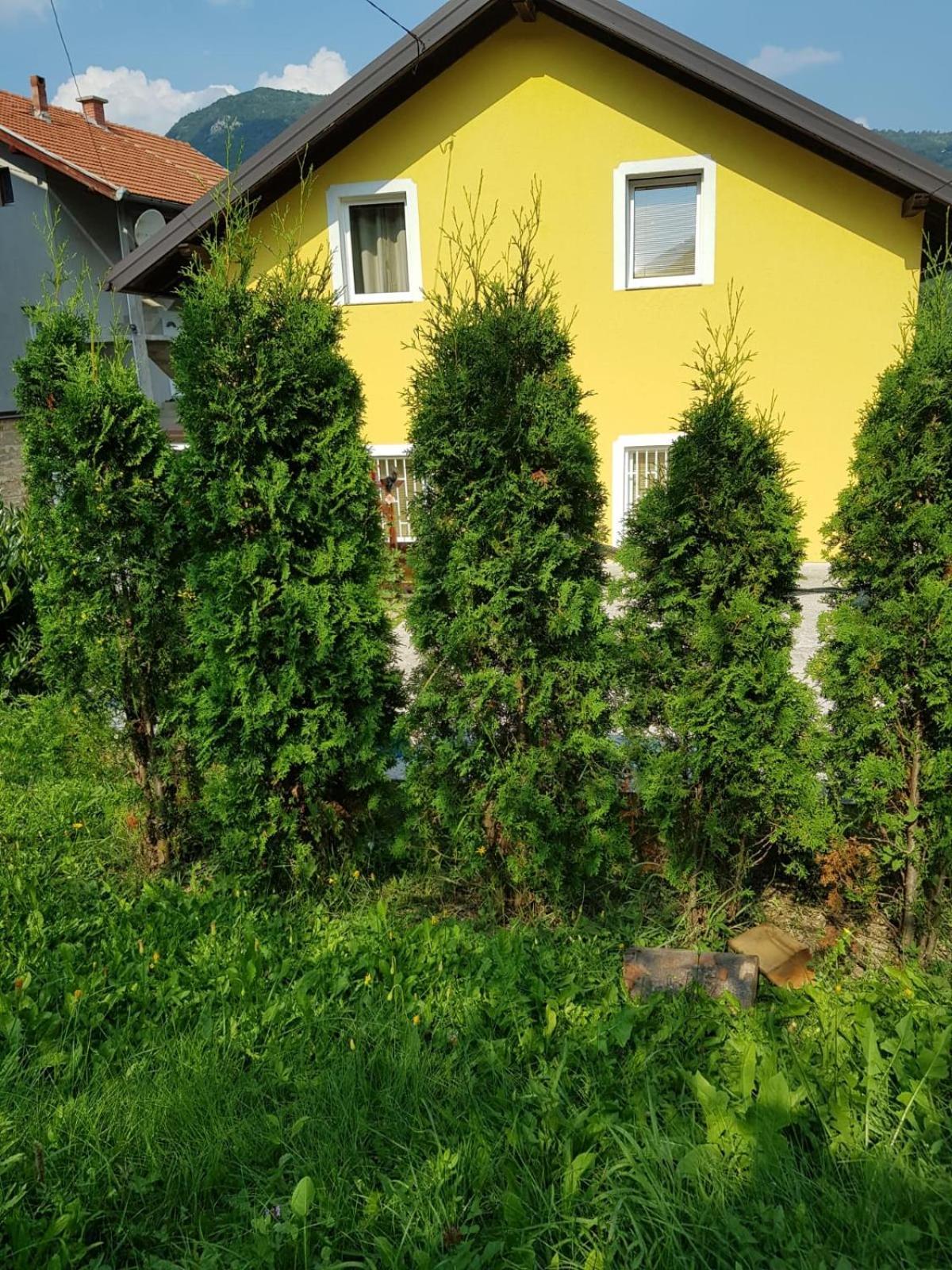 Ferienhaus Alma's Sweet